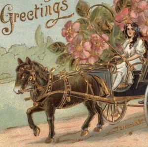 Meet your Posher, Eva